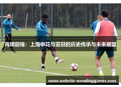 再续前缘:上海申花与亚冠的历史传承与未来展望 再续前缘:上海申花与亚冠的历史传承与未来展望
