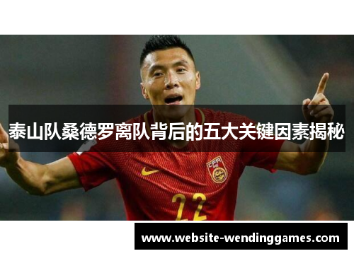 泰山队桑德罗离队背后的五大关键因素揭秘