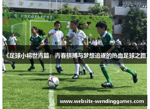 《足球小将世青篇:青春拼搏与梦想追逐的热血足球之路》 《足球小将世青篇:青春拼搏与梦想追逐的热血足球之路》