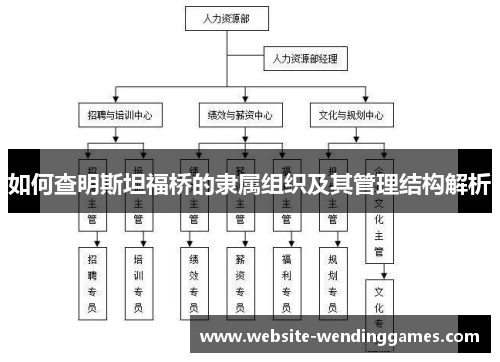 如何查明斯坦福桥的隶属组织及其管理结构解析 如何查明斯坦福桥的隶属组织及其管理结构解析