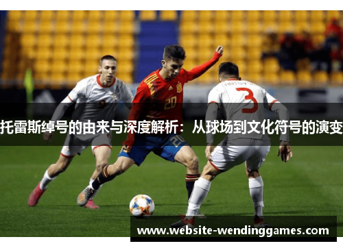 托雷斯绰号的由来与深度解析:从球场到文化符号的演变 托雷斯绰号的由来与深度解析:从球场到文化符号的演变