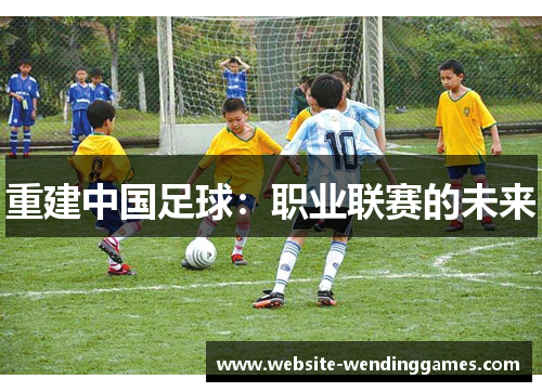 重建中国足球:职业联赛的未来 重建中国足球:职业联赛的未来