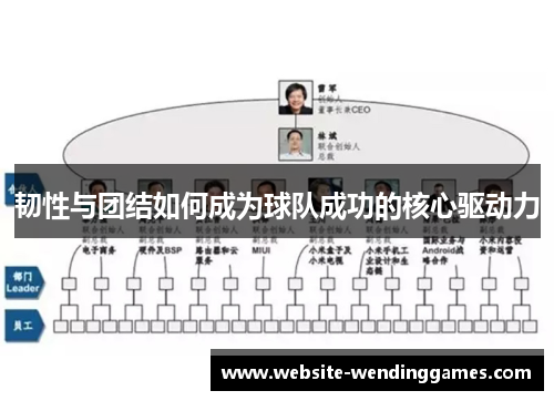 韧性与团结如何成为球队成功的核心驱动力 韧性与团结如何成为球队成功的核心驱动力